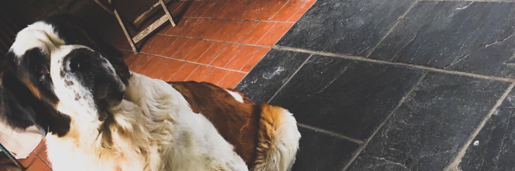 LCWhite_'s profile banner image