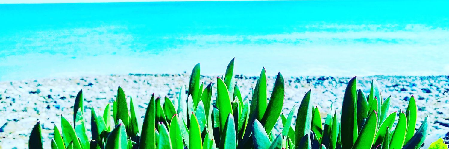 ayhanaysultan's profile banner image