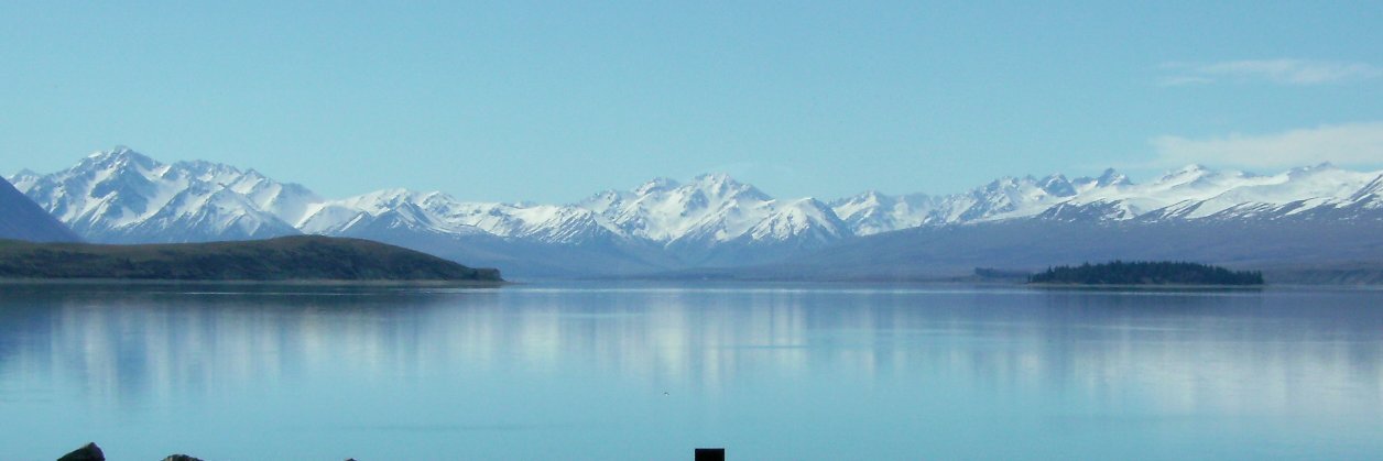 Josh Dwyer banner