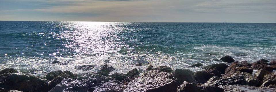 AlbertFigue's profile banner image