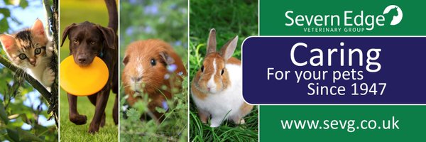 severnedgevets Profile Banner