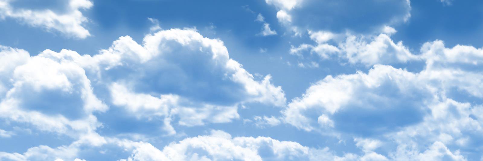 Catherine Rickwood banner