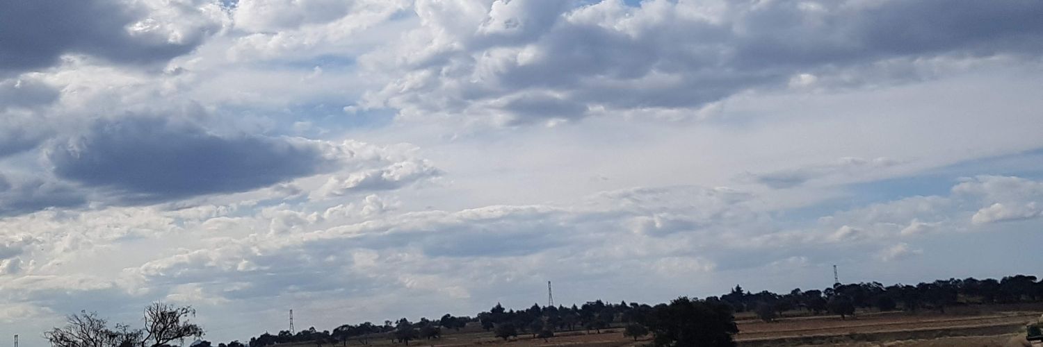 blanchbarrios's profile banner image