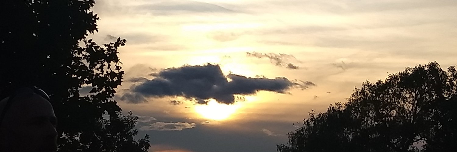 GingerVizzari's profile banner image