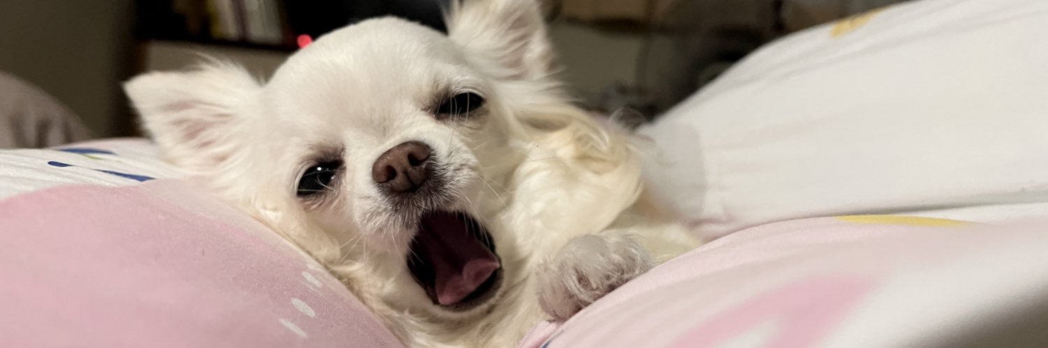 ongfngpp's profile banner image