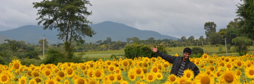 aravindchakra's profile banner image