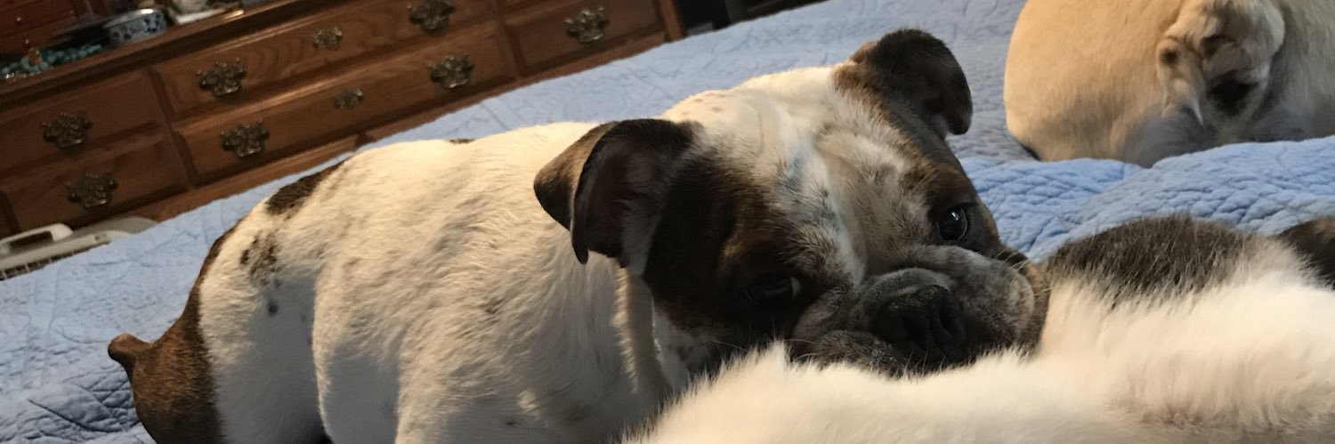clhergenroether's profile banner image