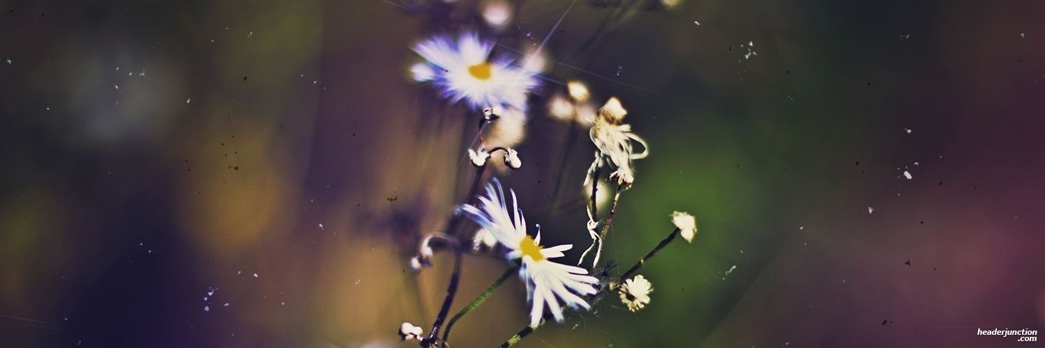 le_21Oct's profile banner image