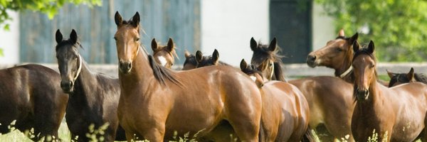WinbakFarm Profile Banner