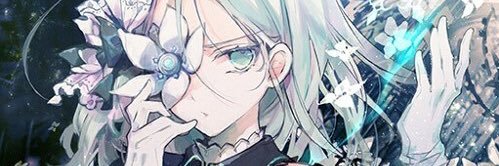 🔰RiderWoomy🔰 banner
