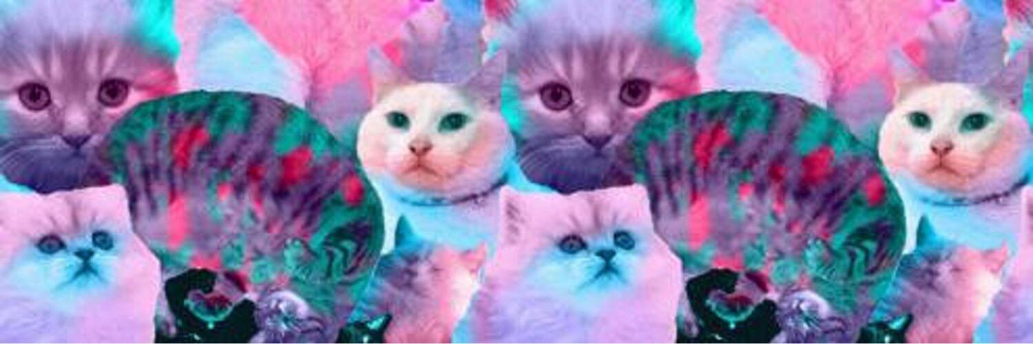 eldiariodeross's profile banner image
