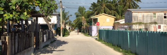 Lisa Ellenwood banner