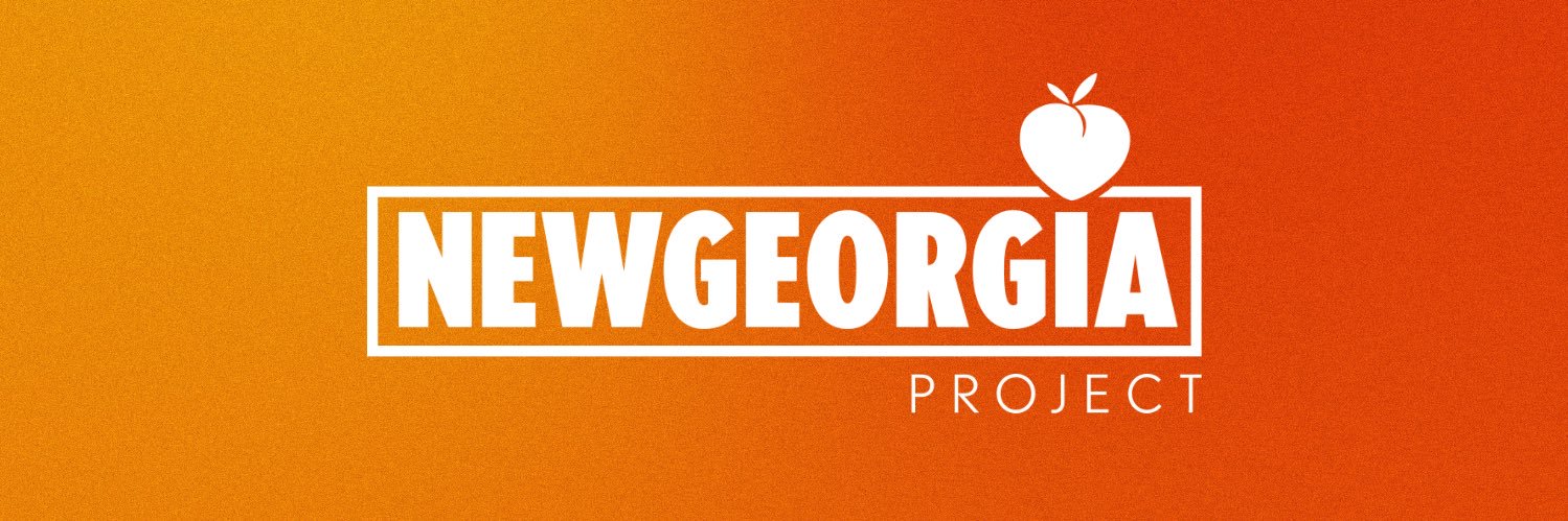 New Georgia Project banner