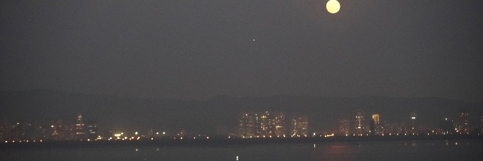 Lalitha Kamath banner