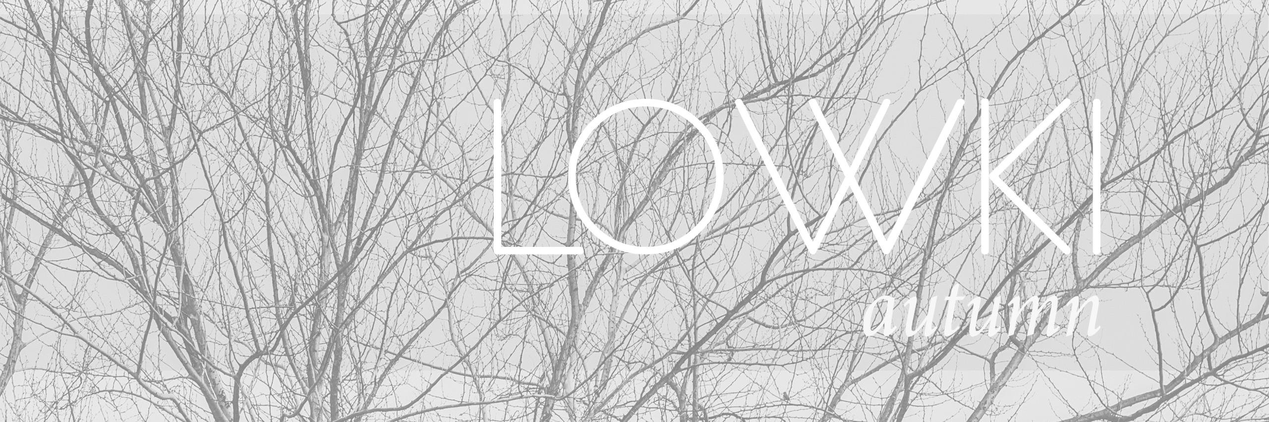 Lowkimusic's profile banner image