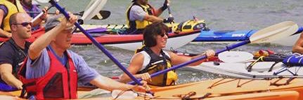 Carmella R. Mantello banner