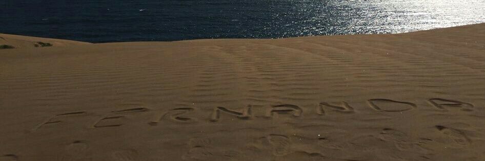 😽🍂🍁Piel De Otoño 🖤 banner