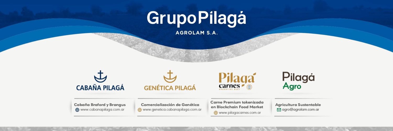 Cabaña Pilagá banner