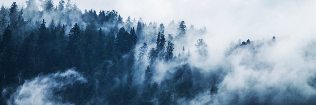 RUTVRyerson's profile banner image