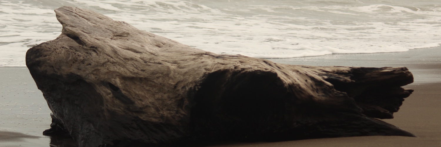 dansmacias's profile banner image