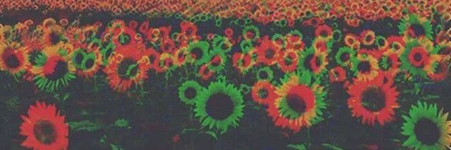 beepink92's profile banner image