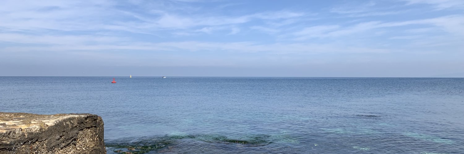 mayametni's profile banner image