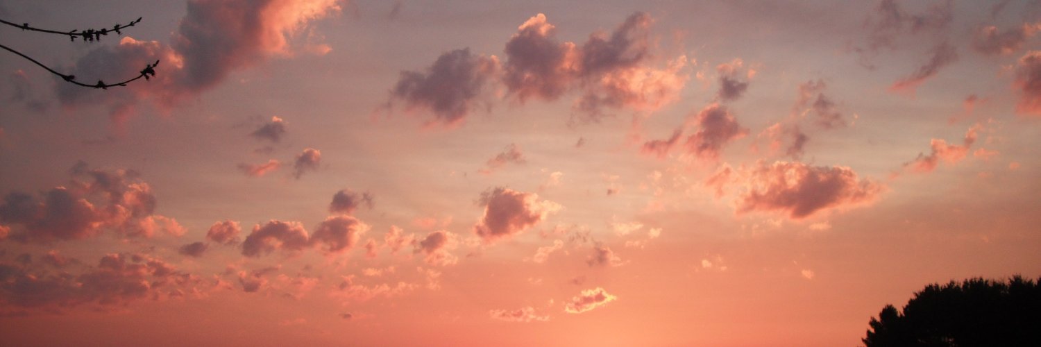 Kidagarush's profile banner image