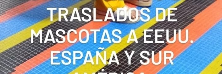 NAnimalista's profile banner image