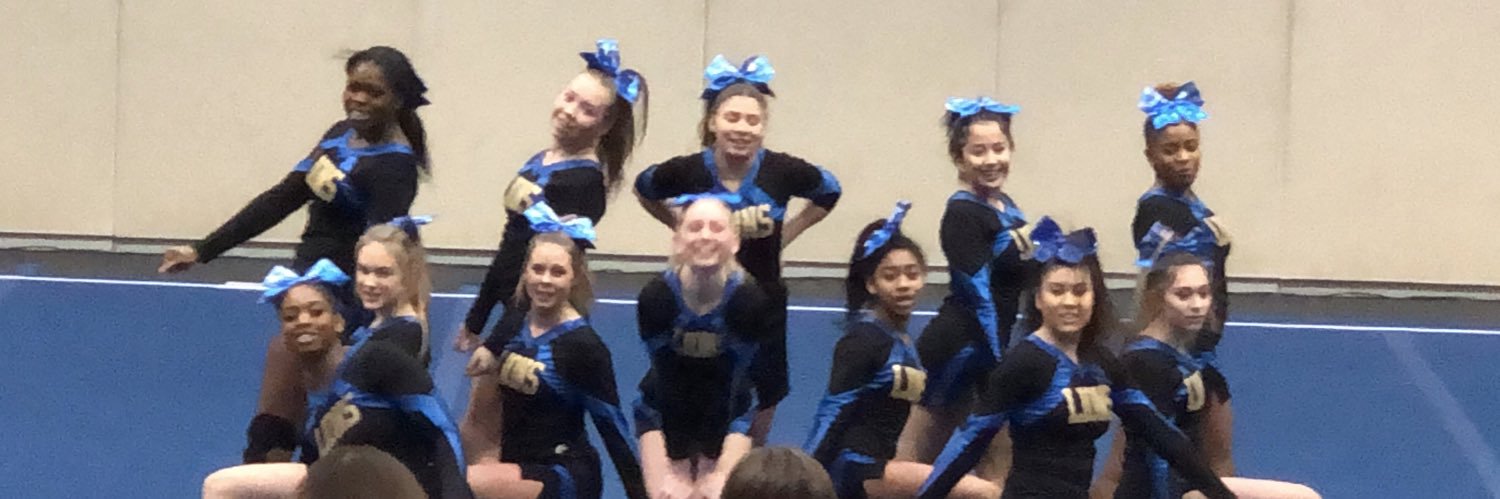 LPLionsCheer's profile banner image