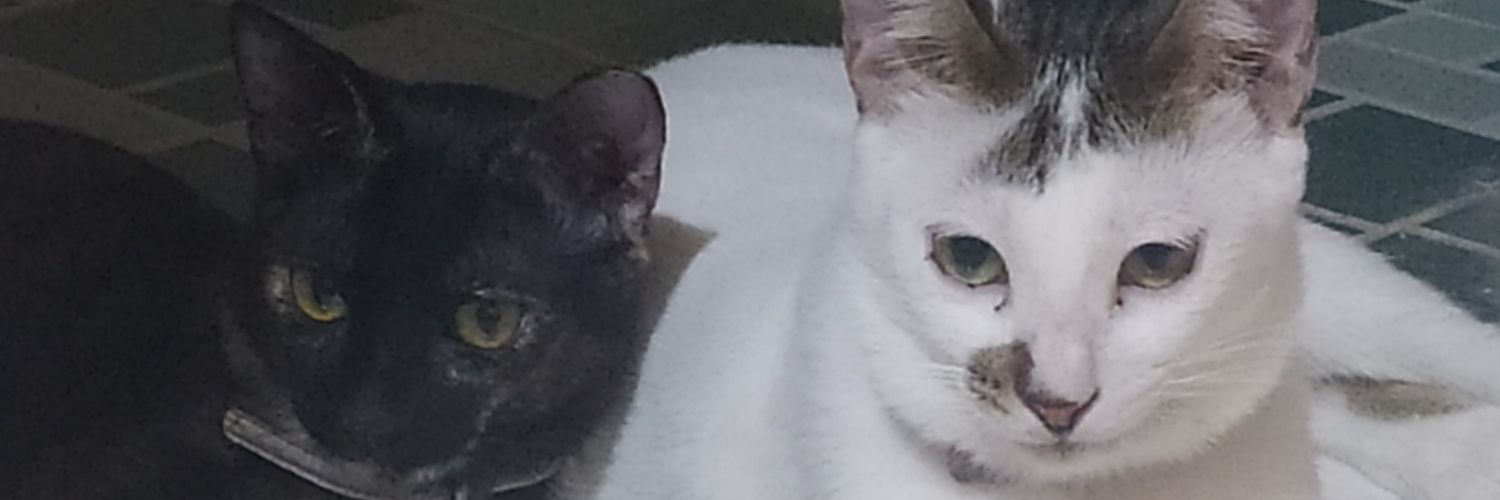 AnTonalite's profile banner image