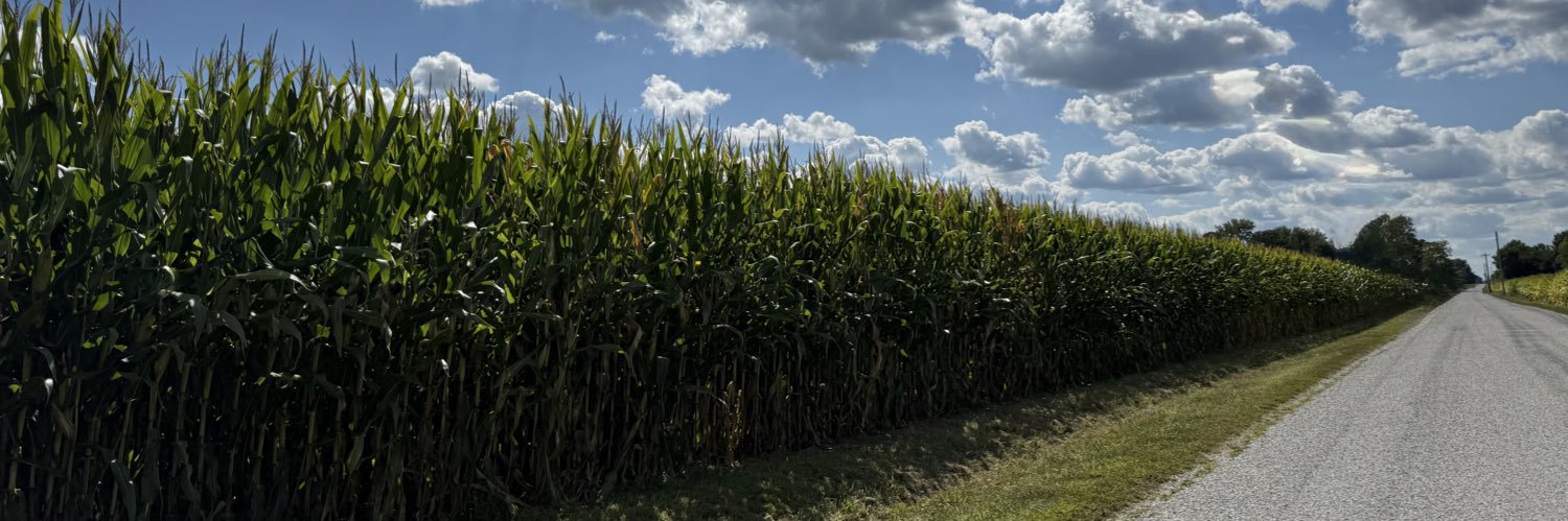 Virginia Black banner