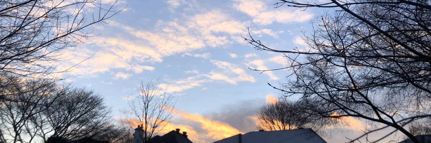 caroothompson's profile banner image