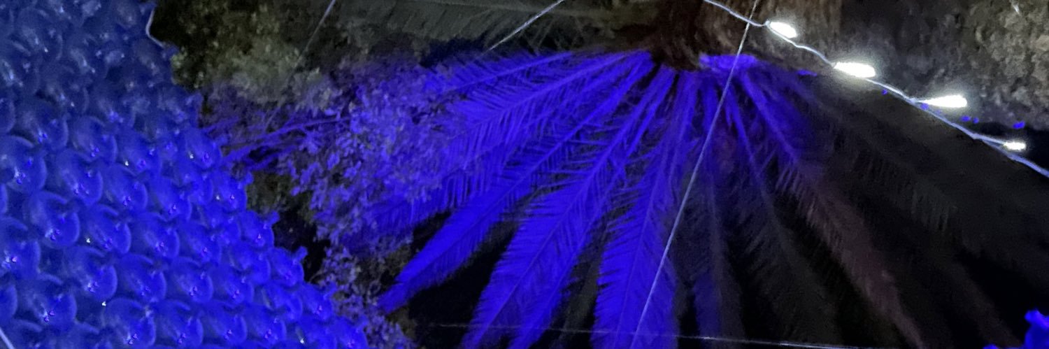 rovarag's profile banner image