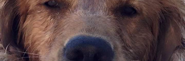 SABRICOLOCHA's profile banner image