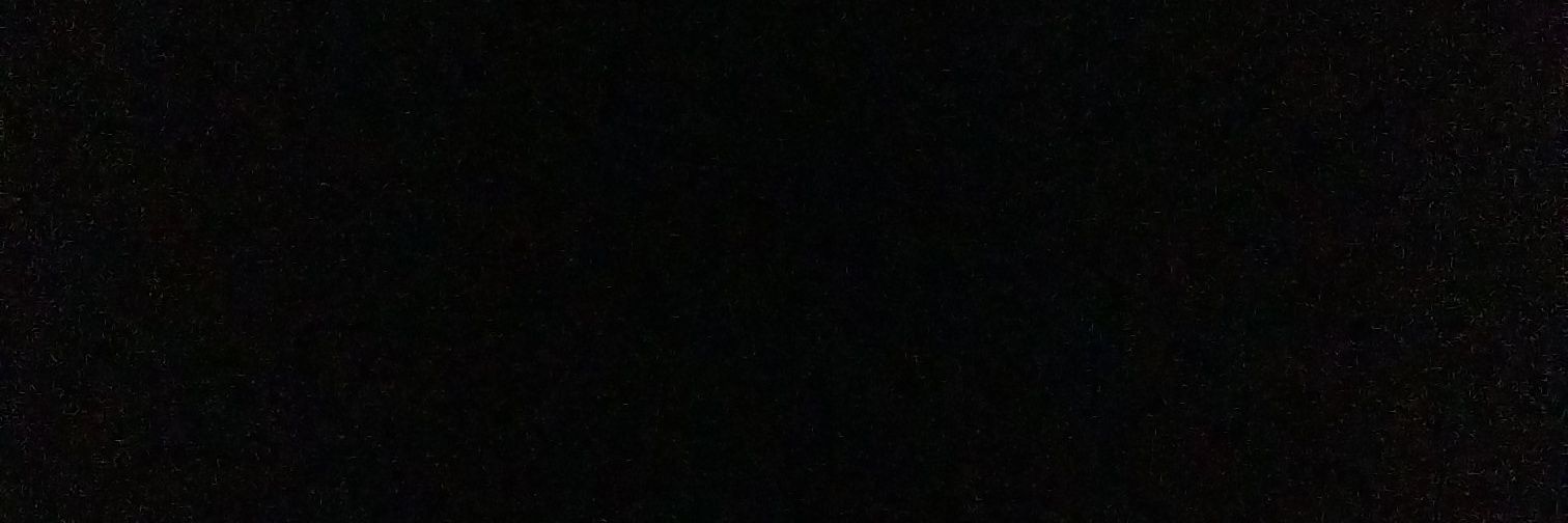 darterwolf's profile banner image