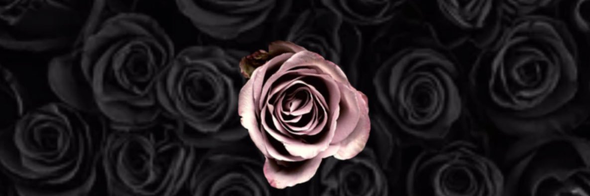 aashley_torres's profile banner image