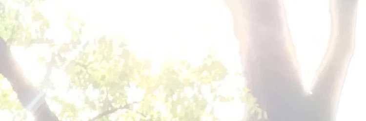 1nenne7's profile banner image