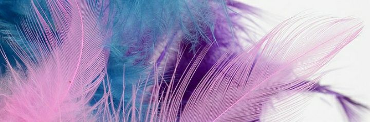 Newkysn's profile banner image