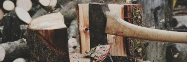 BelecTrevor's profile banner image