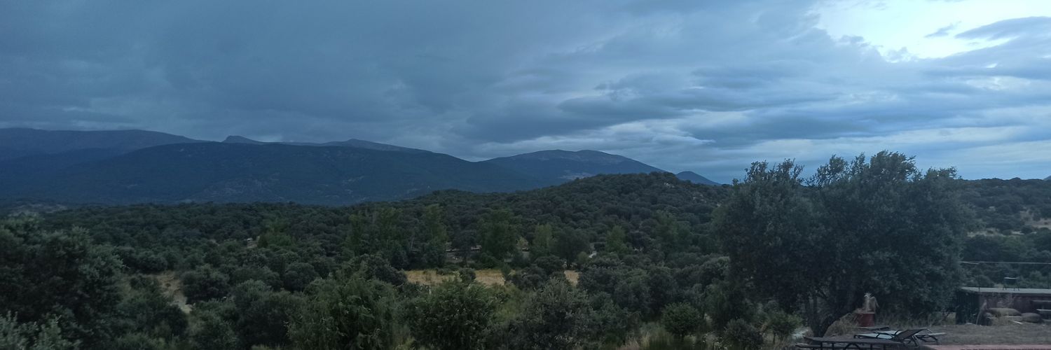 PicaMarta's profile banner image