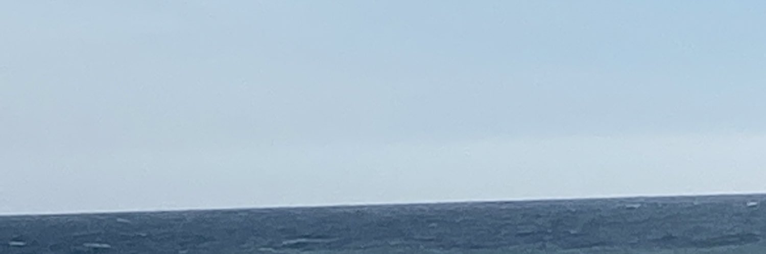 plutoandcharon_'s profile banner image