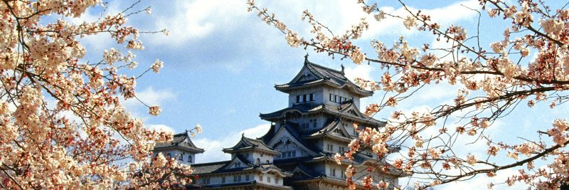 jrtajiri's profile banner image