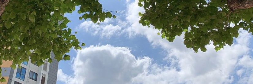 JJ__maya's profile banner image