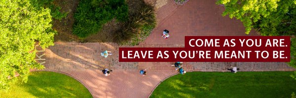 UofSC Profile Banner
