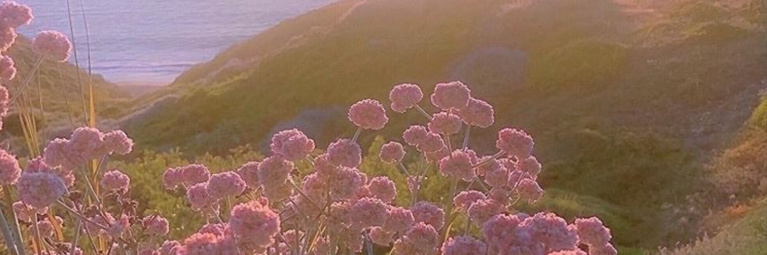 👼🏻 banner