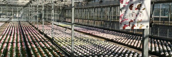 Styropack Profile Banner