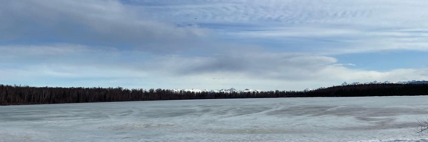 Cynthia Muller banner