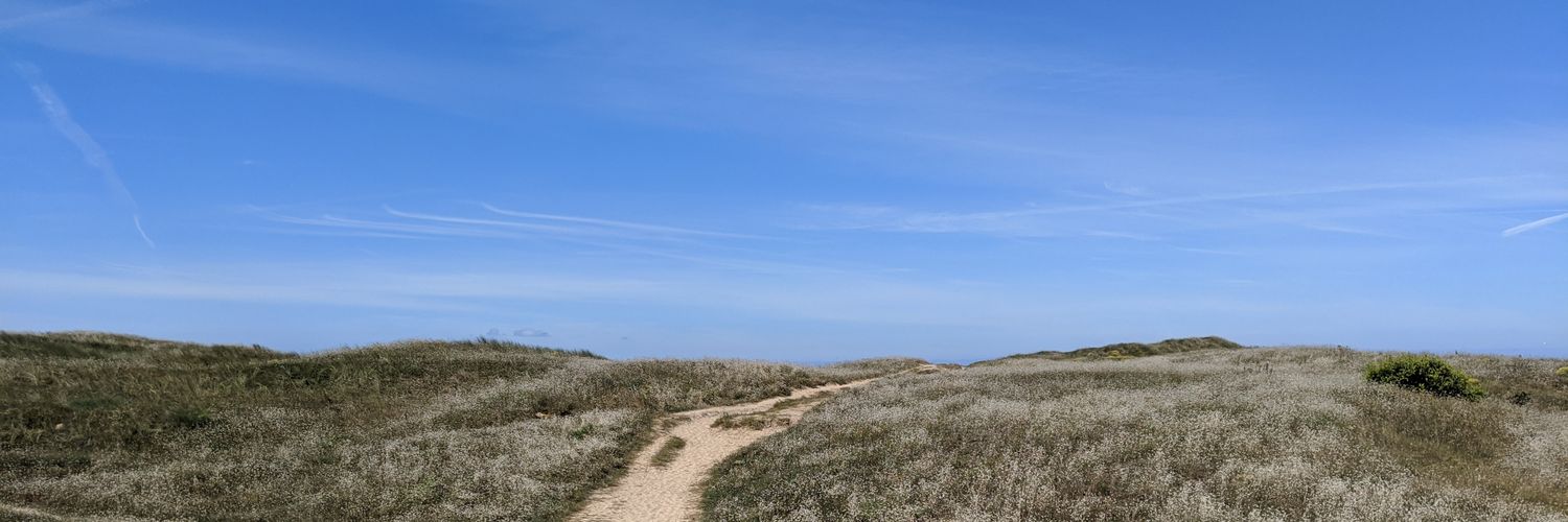 dji banner