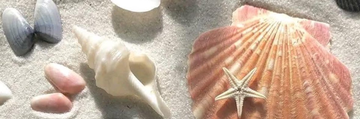 ariannaraee's profile banner image
