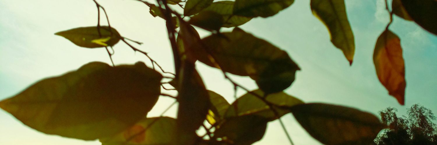 7hsnu's profile banner image